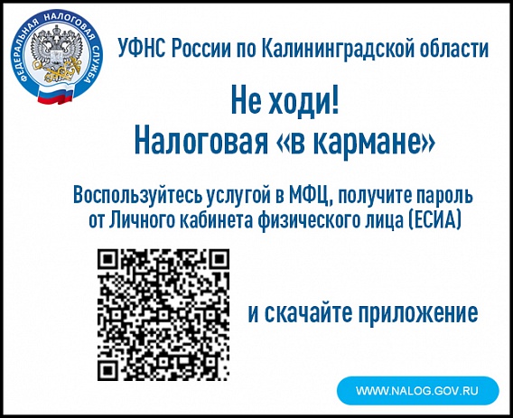 Налоги - вклад в устойчивое развитие