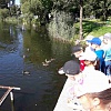 image-0-02-04-dd985f6da606e14e4b5df977d6077a0a19b107b4ab91c192fe6f71f0a7c91c15-V.jpg
