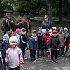 IMG-2d515eab282fb3164aab16a8f584e643-V.jpg